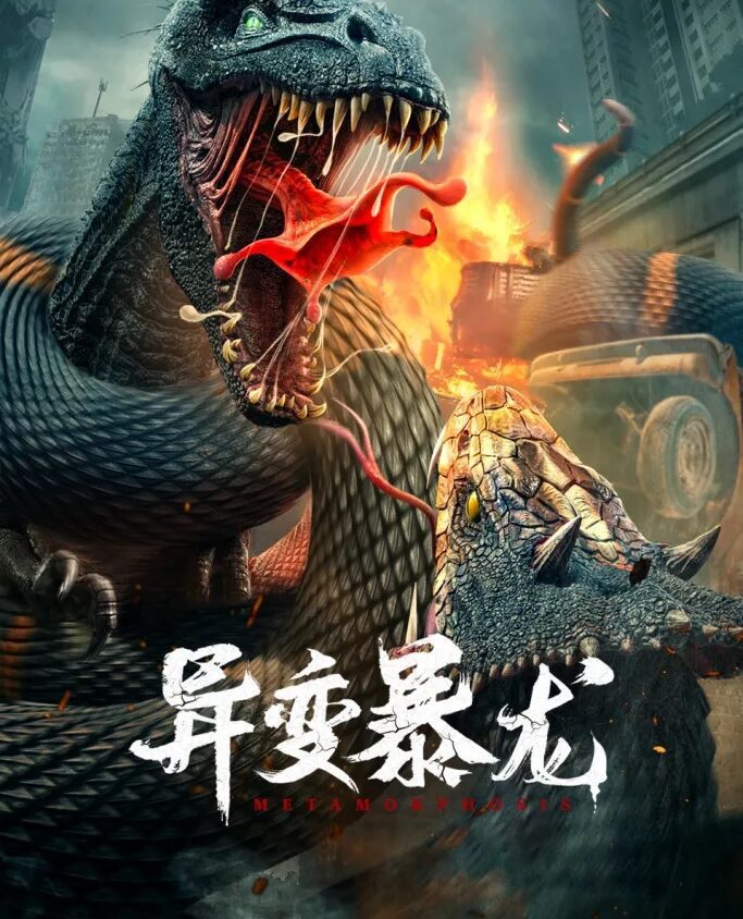 Preload Image
