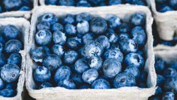 blueberries-1326154_1280