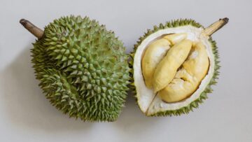 durian-6625486_1280
