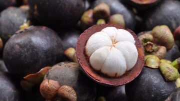 mangosteen-811154_1280