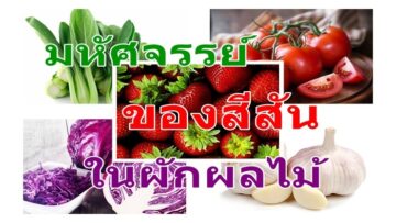 มหัศจรรย์ของสีสันในผัก-ผลไม้