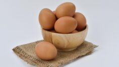egg-1618854_640