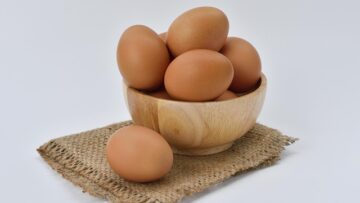egg-1618854_640