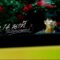 ช้าลง14นาที(ไม่มีค่าผ่านทาง) – FOLK KEMMAPOOM