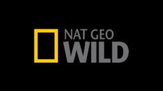 Nat Geo WILD