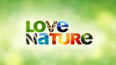 brand_love-nature