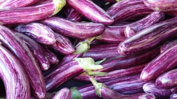 hans-eggplant-73906_640