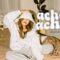 achoo achoo – Ployé