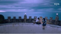 WIM – Summer Lover
