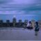 WIM – Summer Lover